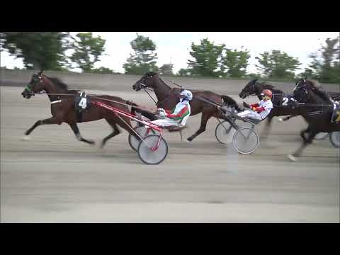 Ippodromo dei Sauri - 1' corsa del 29 05 2025