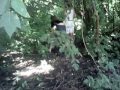 Жизнь вампиров 1серия 1 сезон 