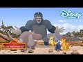 De Leeuwenwacht | Liedjes van Speciale Gasten ? | Disney Channel NL