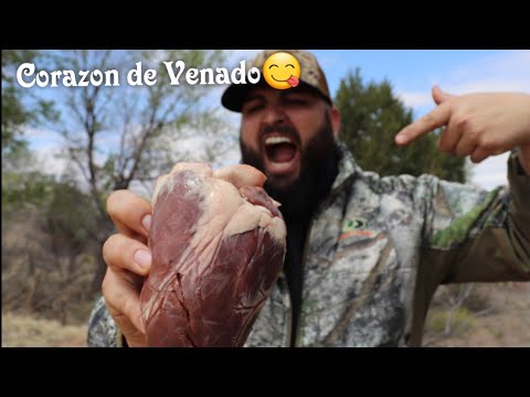 Wild Kitchen🦌🔥 Deer Heart Cooking