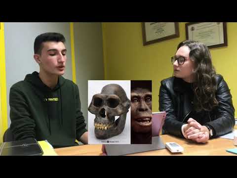 Australopithecus africanus