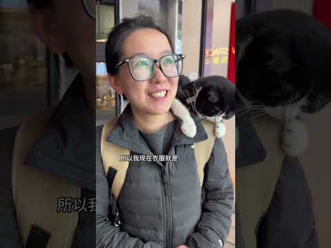 Cost Breakdown: Raising a Feline Friend