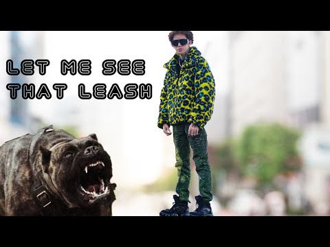 Aggressive Pit-bull Under Control In One Training Session.