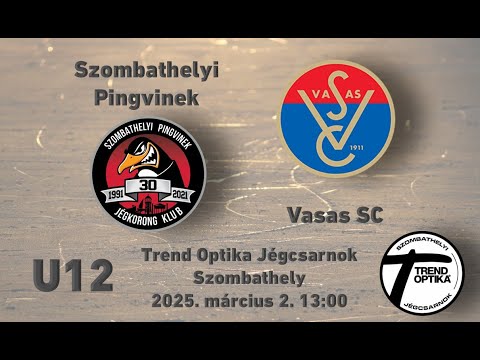 U12 Szombathelyi Pingvinek - Vasas SC B