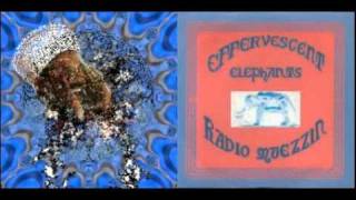 EFFERVESCENT ELEPHANTS - Radio Muezzin