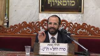 הרב אליהו חיים פנחסי | כשרות הסכך וחרקים