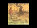 Annuals - Fair 