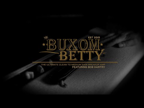 Friedman Amplification - Buxom Betty