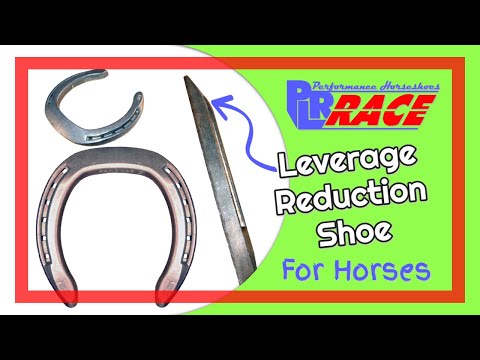 Slide 2 - PLR Alu 3 Front Unclipped  (video)