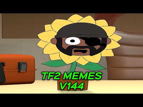 TF2 MEMES V144