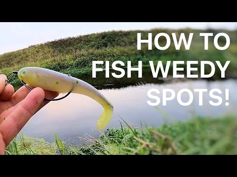 YouTube video about: How to fish pike in weeds?