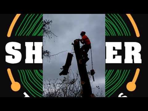 Shearer Tree Services video.
