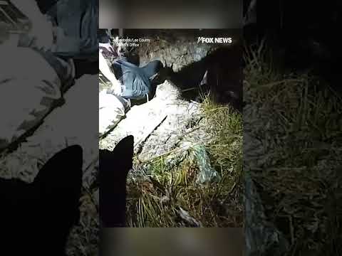 Police hunt down teens on CRIME SPREE #foxnews #news #us #fox