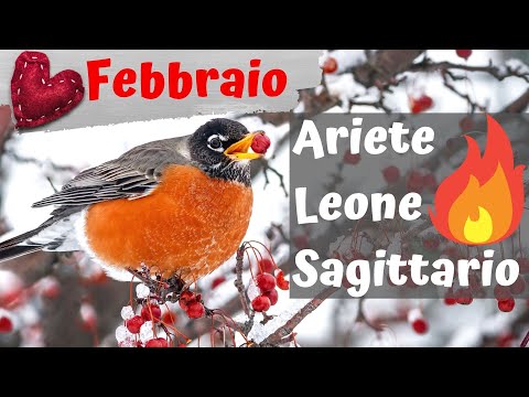Fire Signs🔥February 2021- Evolutionary Esoteric Horoscope by Tarocchi Viaggio Alchemico