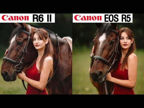 Canon Eos R6 II VS Canon Eos R5 Autofocus Camera Comparison