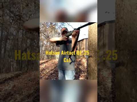 Hatsan Striker Edge 25 caliber review