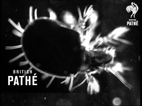 Secrets Of Nature - Mighty Atoms (1930)