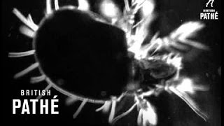 Secrets Of Nature - Mighty Atoms (1930)