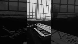 Download lagu |Punnagai Mannan theme | Ilaiyaraaja | keyboard cover | #keyboard #ilayaraja mp3