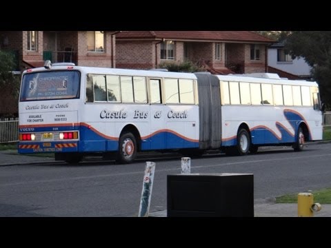 Casula/Kingsgrove Bus Co. TV 3887 - Volvo B10ML (ZF/Fuji)