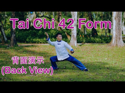 Tai Chi 42 Form (Back View) 42式太极拳 (背面)