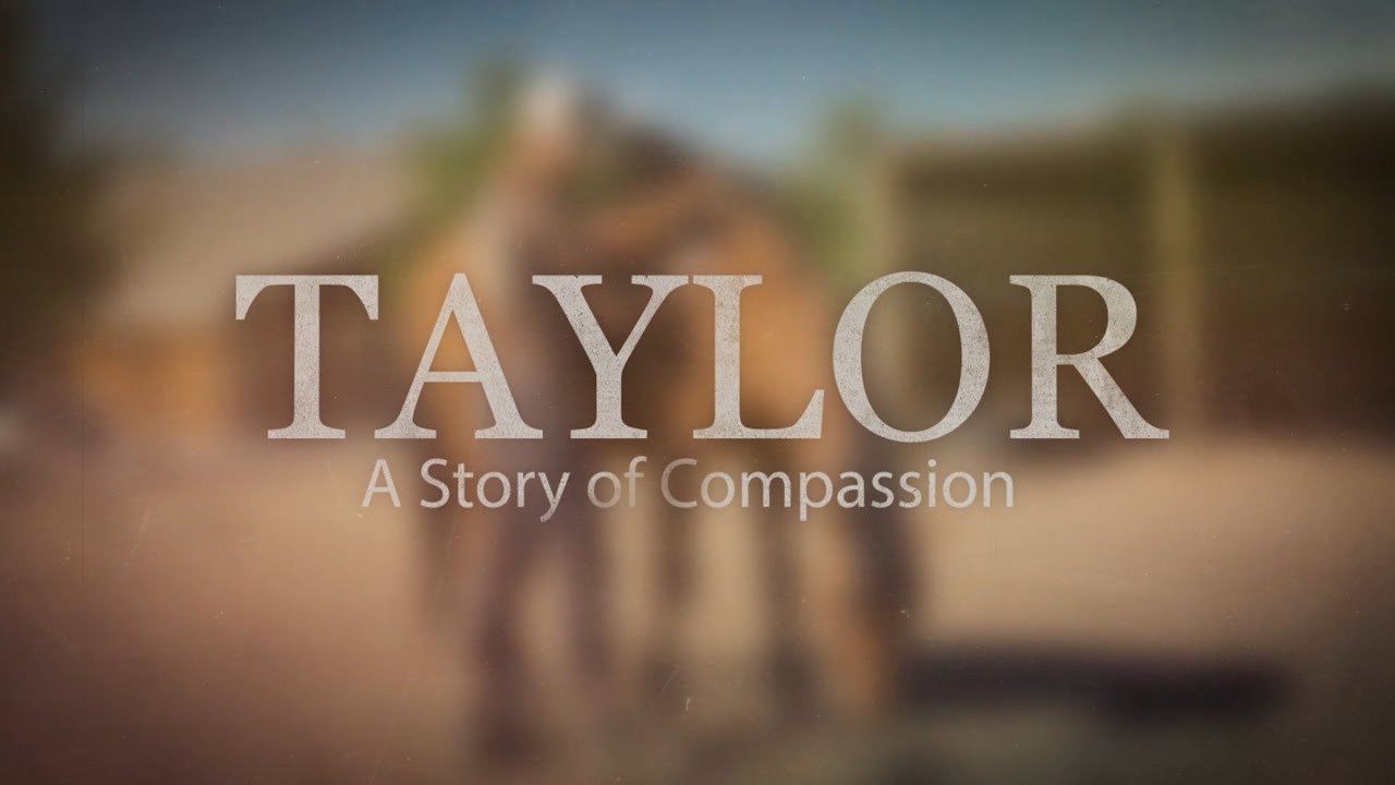Veteran Herd: Taylor - A Story of Compassion