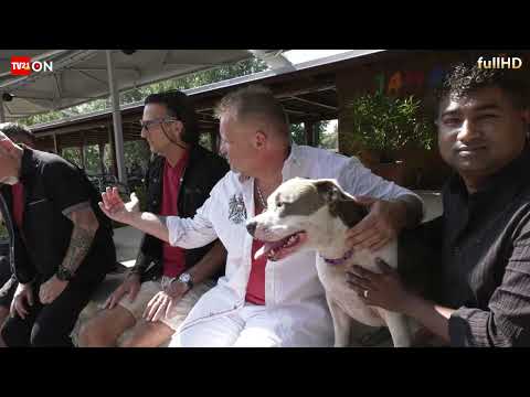 Die Austria Pur Band meldet sich zurück mit ihrem neuen Hit!