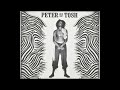 Peter Tosh & Gwen Guthrie - Nothing But Love (Long Version)