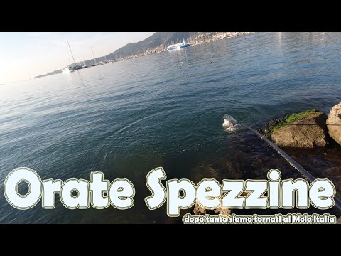 Orate a La Spezia... siamo tornati al Molo Italia