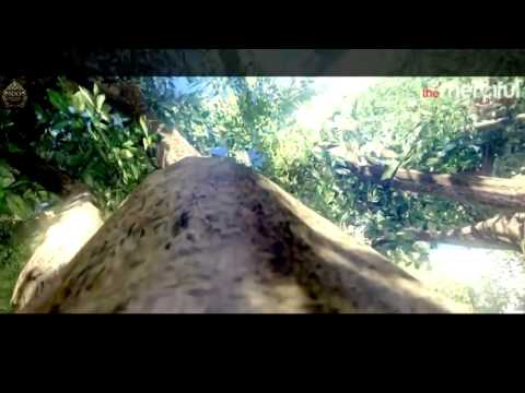 Ashab koji je sreo Dedžala