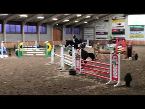 Manuel Albano - Zair ( Zambesi x Argentinus)