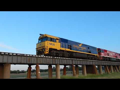 Junee Trains NR28, NR109, NR80 & NR57 with 7SM5