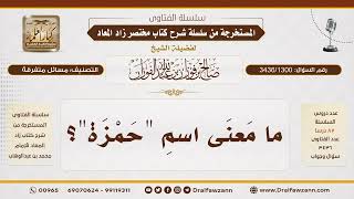 [3436/1300] ما معنى اسم حمزة؟