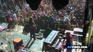 Twiddle performs 