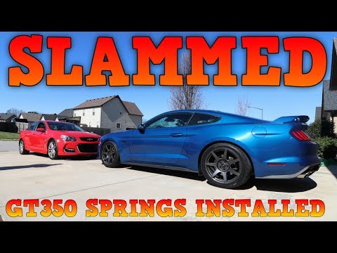 2018-2019 Mustang GT Magneride Lowering Springs