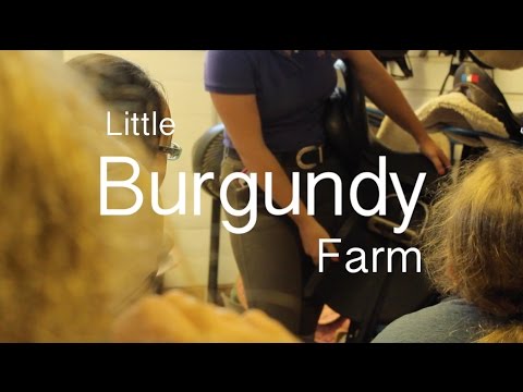 Camp for One Student at Little Burgundy Farm (Up to 41% Off). Five Dates Available. - Second Medium