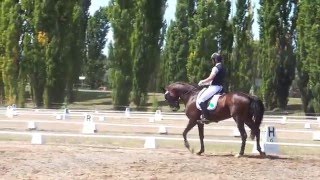 Bloomers Simply the Best at Canberra Classic 2016 Elementary test
