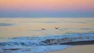 Sal - Gustavo Cerati