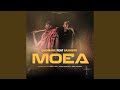 Moea
