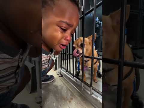 Nothing is more beautiful than unconditional love ❤️