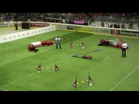 Flurk and Johan Renders individual agility Dornbirn 2009