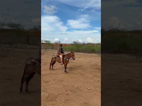 🌾 FAZENDA RIACHÃO – 1.500 HECTARES NO CARIRI PARAIBANO 🌾