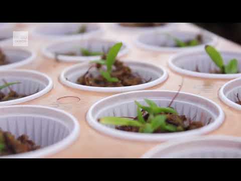 UFGD Ciência 09/2018 - Professor José Carlos Sorgato