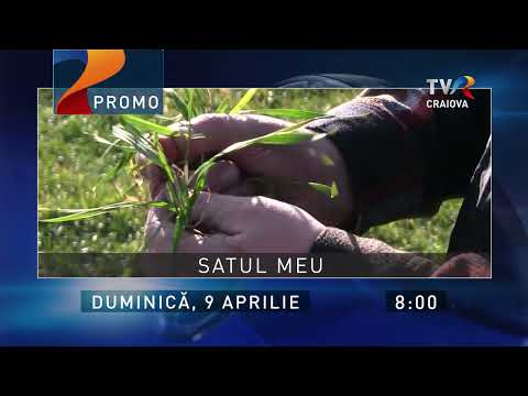 Satul meu - Poiana Mare