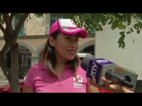 Refugio «Patitas Suaves de Xalapa» brinda en adopción a perritos rescatados