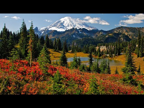 Discover Mt. Rainier National Park from Seattle, Washington