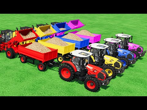 COLORFUL TRACTORS! CLAAS vs GIANT LOADERS – Epic Sugar Beet Loading & Transport | FS22