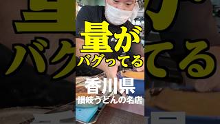 常連めっちゃ多い‼︎量がバグってる讃岐うどんの名店‼︎‼︎‼︎　#讃岐うどん #shorts #うどん #香川県 #グルメ #手打ちうどんつよ志