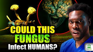Doctor Explains  Why The Last of Us “Cure” Would Never Work