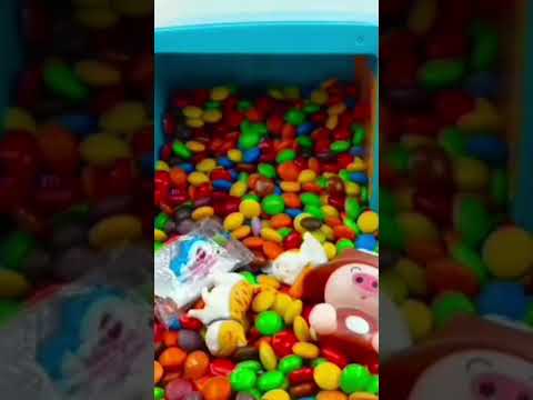 Jim's 61 chocolate new short video #short #shorts